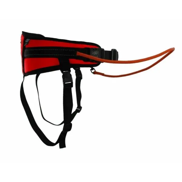 sali_rapid_belt_canicross_rot sali_rapid_belt_canicross_rot