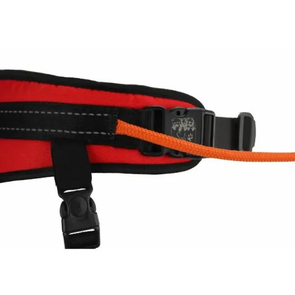 sali_rapid_belt_canicross_rot sali_rapid_belt_canicross_rot