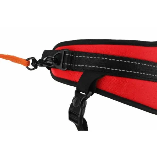 sali_rapid_belt_canicross_rot sali_rapid_belt_canicross_rot